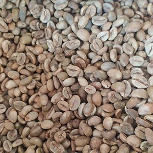 Premium Indonesian Arabica and Robusta coffee beans for global wholesale