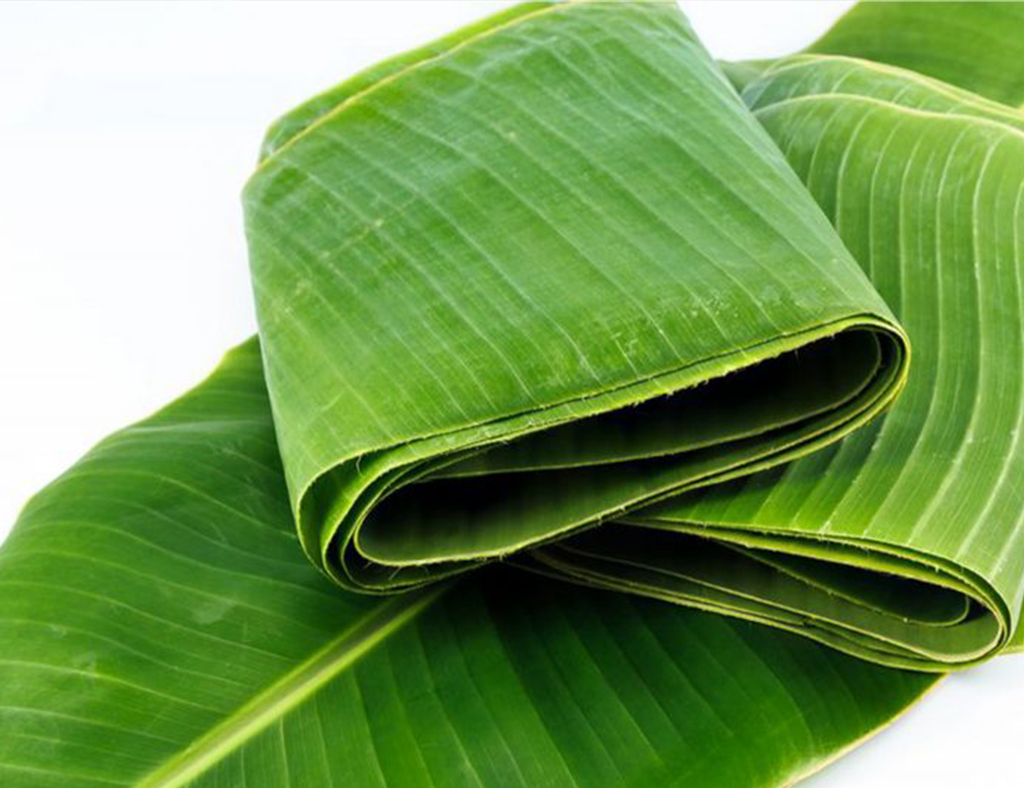 Fresh banana leaves export quality, cleaned and packed for food use