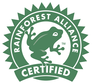 Rain Forrest Logo